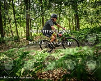 Bartje 200 photo