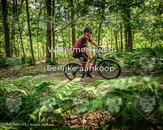 Bartje 200 photo