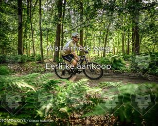 Bartje 200 photo