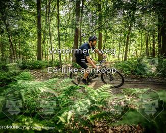 Bartje 200 photo