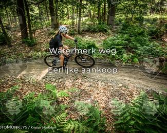 Bartje 200 photo