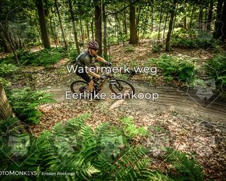 Bartje 200 photo