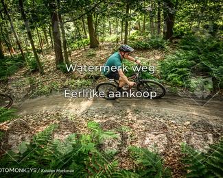 Bartje 200 photo