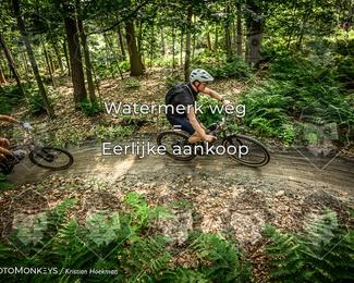 Bartje 200 photo