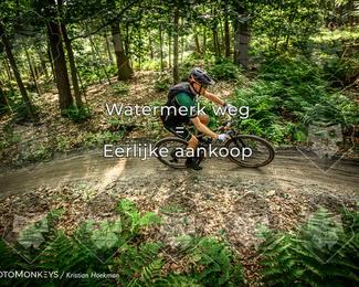 Bartje 200 photo