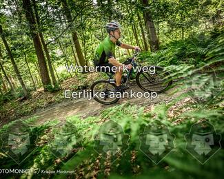 Bartje 200 photo