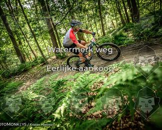 Bartje 200 photo