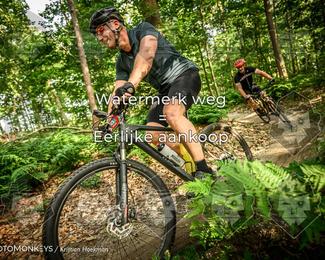 Bartje 200 photo