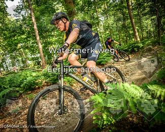 Bartje 200 photo