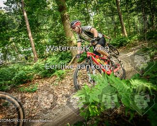 Bartje 200 photo