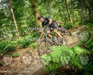 Bartje 200 photo