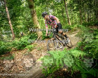 Bartje 200 photo