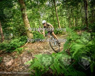 Bartje 200 photo