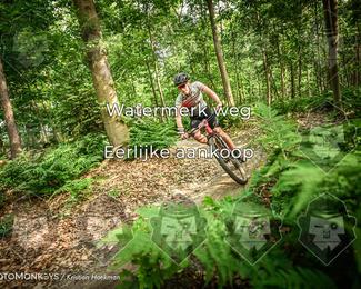 Bartje 200 photo