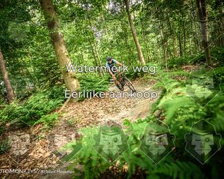 Bartje 200 photo