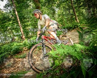 Bartje 200 photo