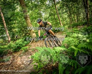 Bartje 200 photo