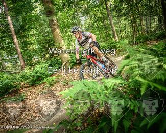 Bartje 200 photo