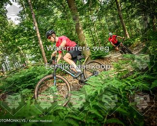 Bartje 200 photo