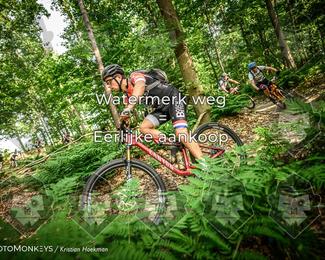 Bartje 200 photo