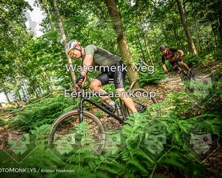 Bartje 200 photo