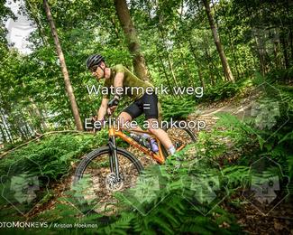 Bartje 200 photo
