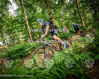 Bartje 200 photo