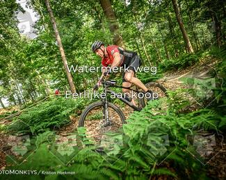Bartje 200 photo