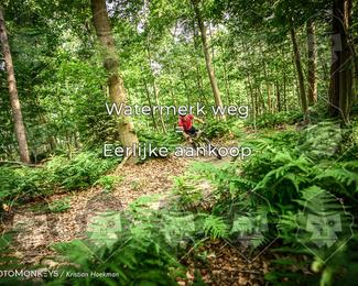 Bartje 200 photo