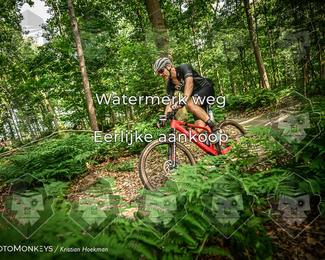 Bartje 200 photo