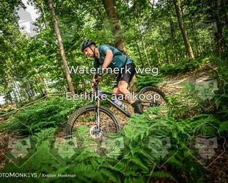 Bartje 200 photo