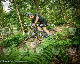Bartje 200 photo