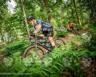 Bartje 200 photo