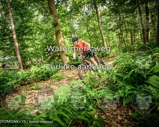 Bartje 200 photo