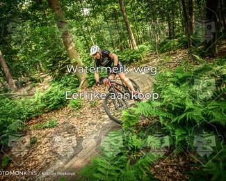 Bartje 200 photo