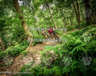 Bartje 200 photo