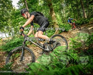 Bartje 200 photo