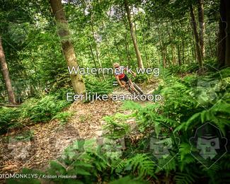 Bartje 200 photo