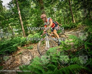 Bartje 200 photo