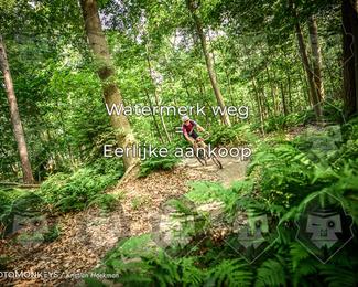 Bartje 200 photo