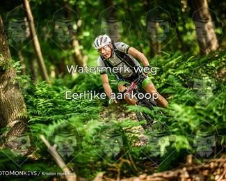 Bartje 200 photo