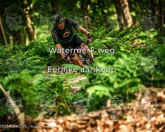Bartje 200 photo