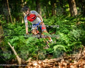 Bartje 200 photo