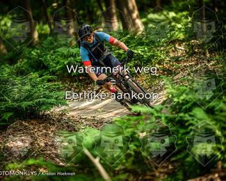 Bartje 200 photo