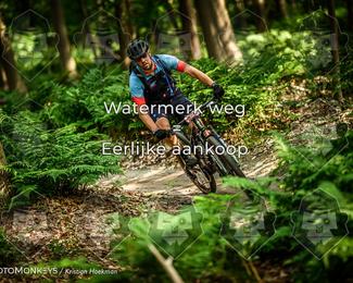 Bartje 200 photo