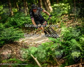 Bartje 200 photo