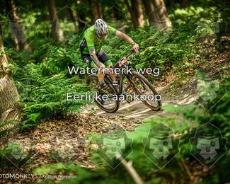 Bartje 200 photo
