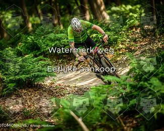 Bartje 200 photo
