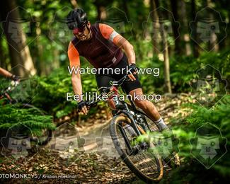 Bartje 200 photo