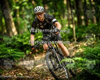 Bartje 200 photo